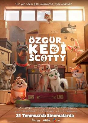 ÖZGÜR KEDİ SCOTTY